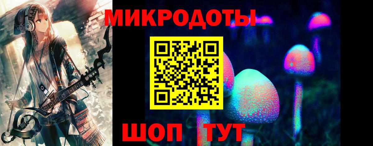 Магадан  Галлюциногенные грибы прущие грибы  купить наркотики сайты  Вход с VPN 
