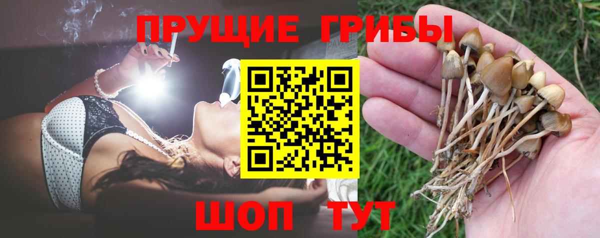 Псилоцибиновые грибы мицелий Магадан